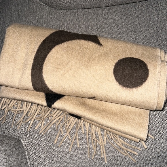 Louis Vuitton oversized scarf - Picture 9 of 9